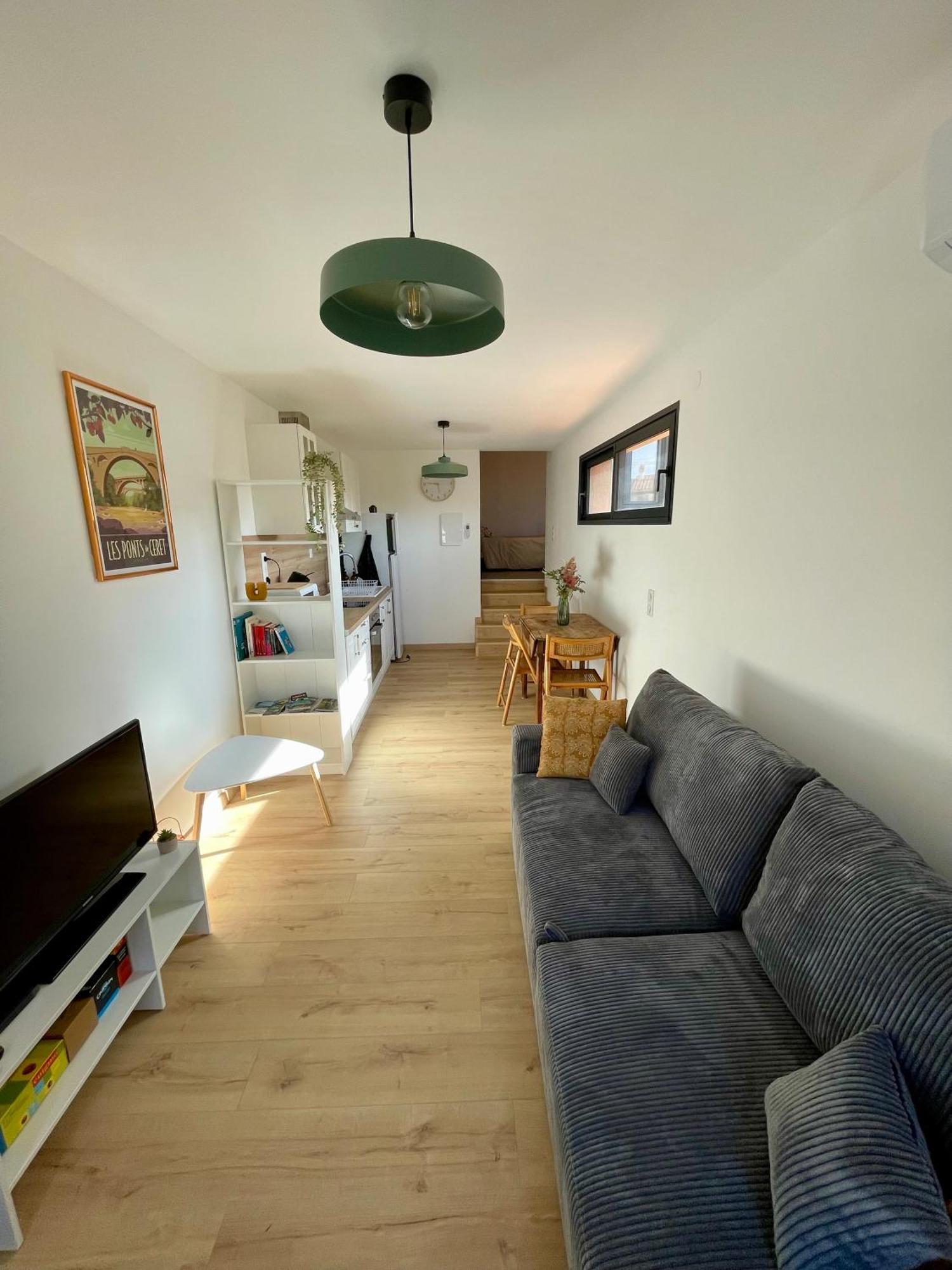 Bel Appartement A Céret Εξωτερικό φωτογραφία